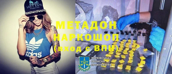 прущие грибы Балахна